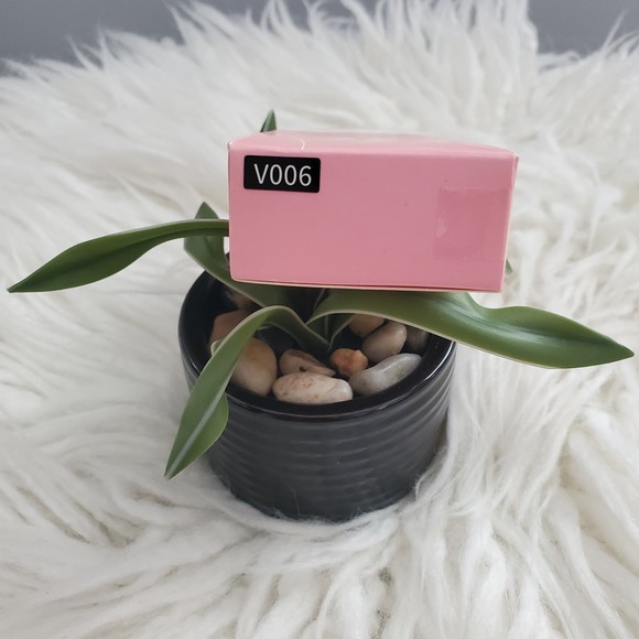 TASH Cosmetics Foundation Perfecting Coverage V006 - Picture 3 of 5